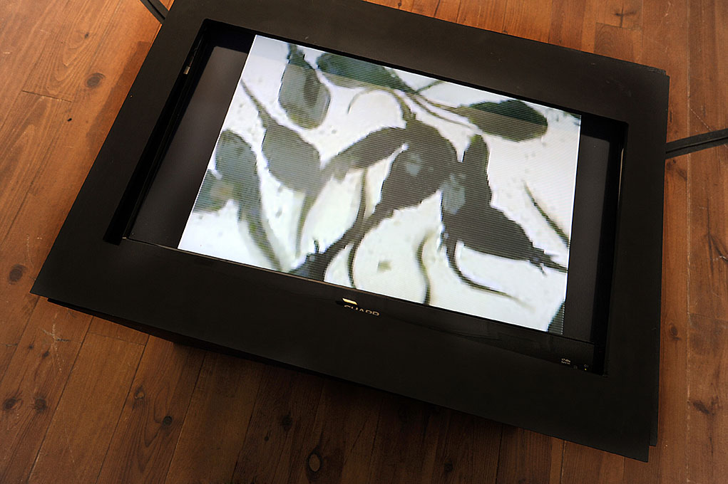 Brandon Ballengée © Laurence Godart