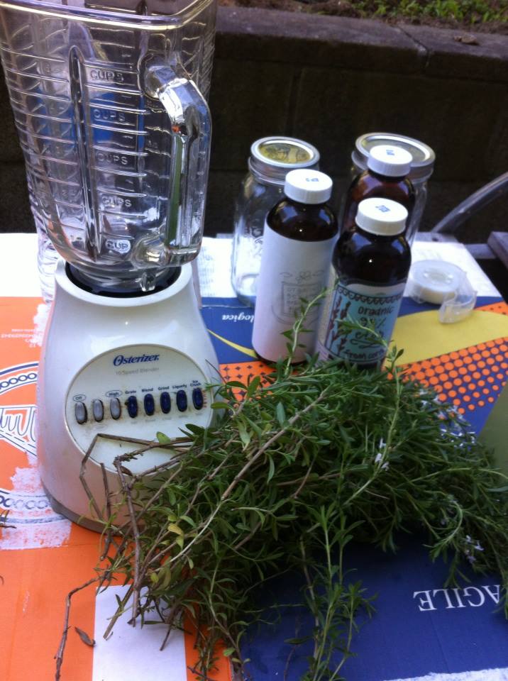 Laboratoire de plantes médicinales de Margaretha Haughwout.