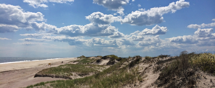 Artist in Residence on Fire Island