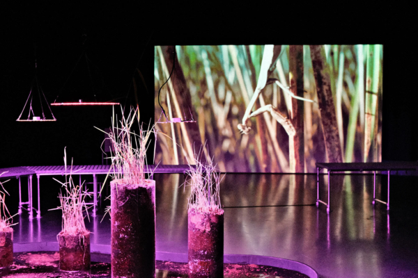 Elise Eeraerts & Roberto Aparicio Ronda – The Starlight Dims Its Blissful Gaze, The Springs Are Steaming – We Descend in Haze – Kunstverein Arnsberg