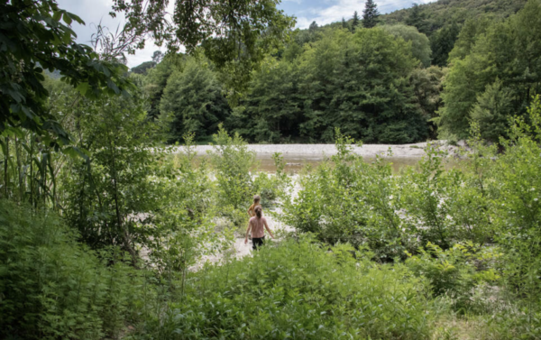 Commission Culture, Cinéma et Industries créatives  –  OFB