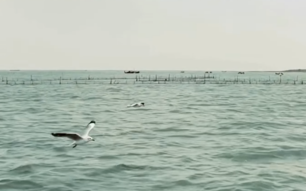 Appel à projets Water Bodies & Ecology 2026
