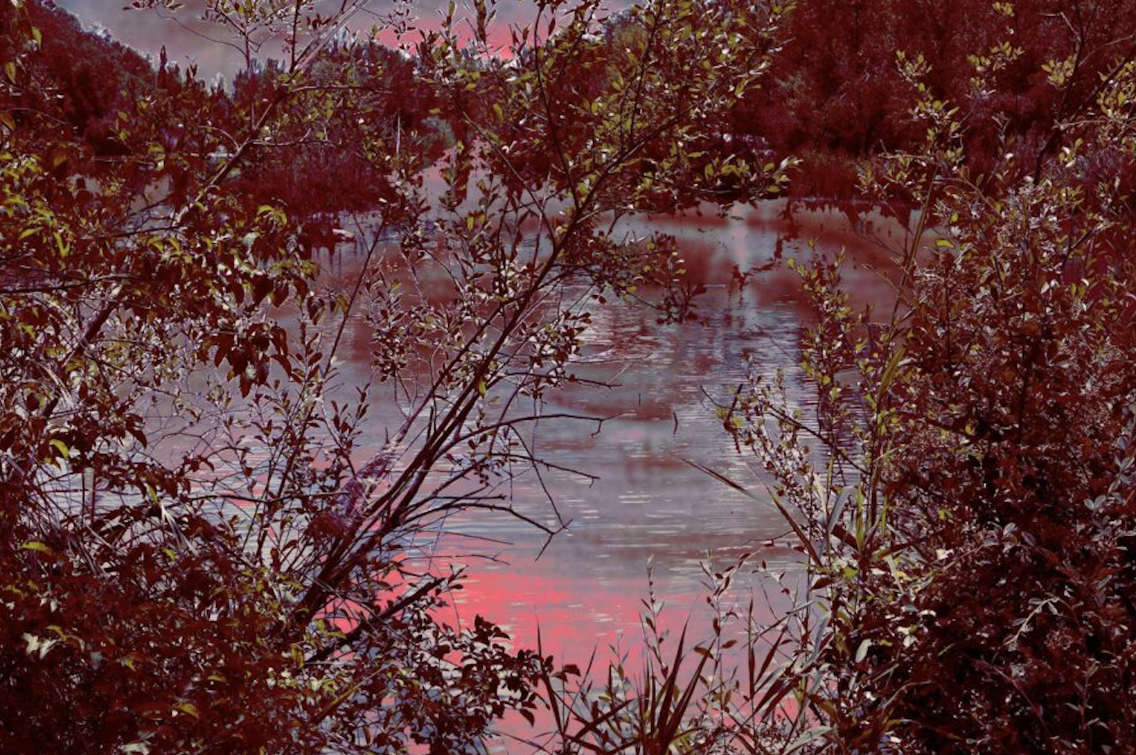 Appel à projets paysages & Arts Visuels 2027