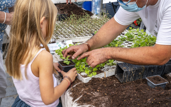 Fête des jardins : vive la nature en ville !
