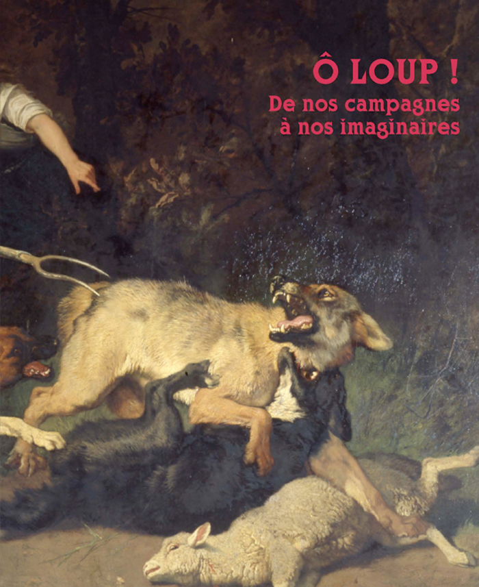 O loup! De nos campagnes à nos imaginaires