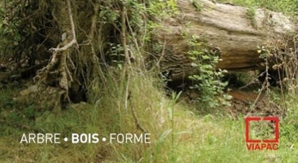 projet 1arbre d&rsquo;andrea caretto et raffaela spagna – 29.09.11/20.11.11