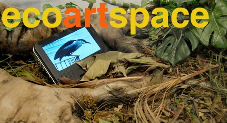 Ecoartspace