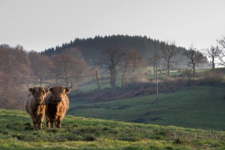 Polyculture et la ferme d’élevage de Vernand