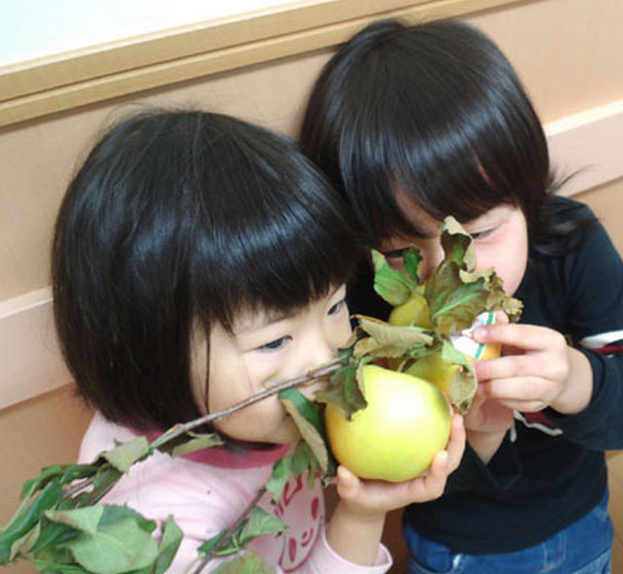 Evénements – Ringono, Pommes de vie pour Fukushima