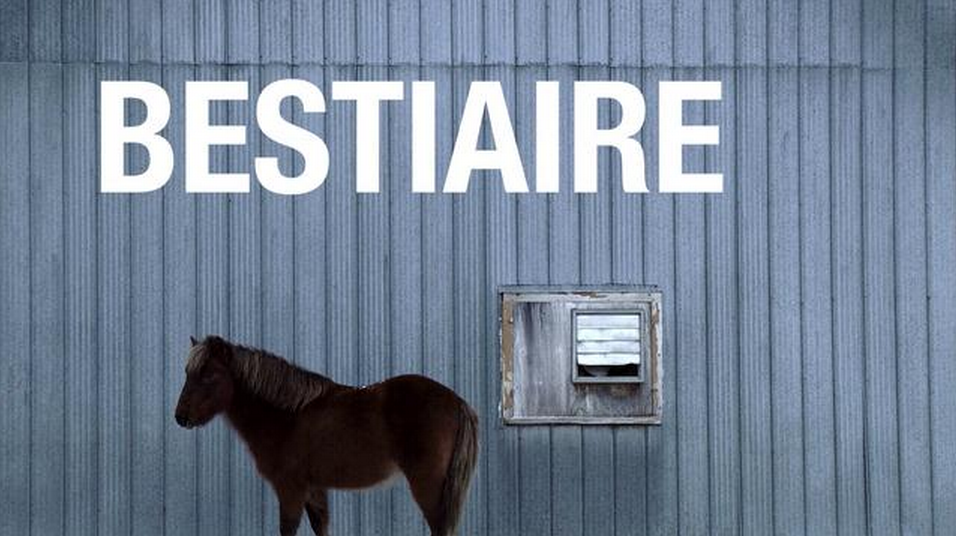 Avant-première du film BESTIAIRE