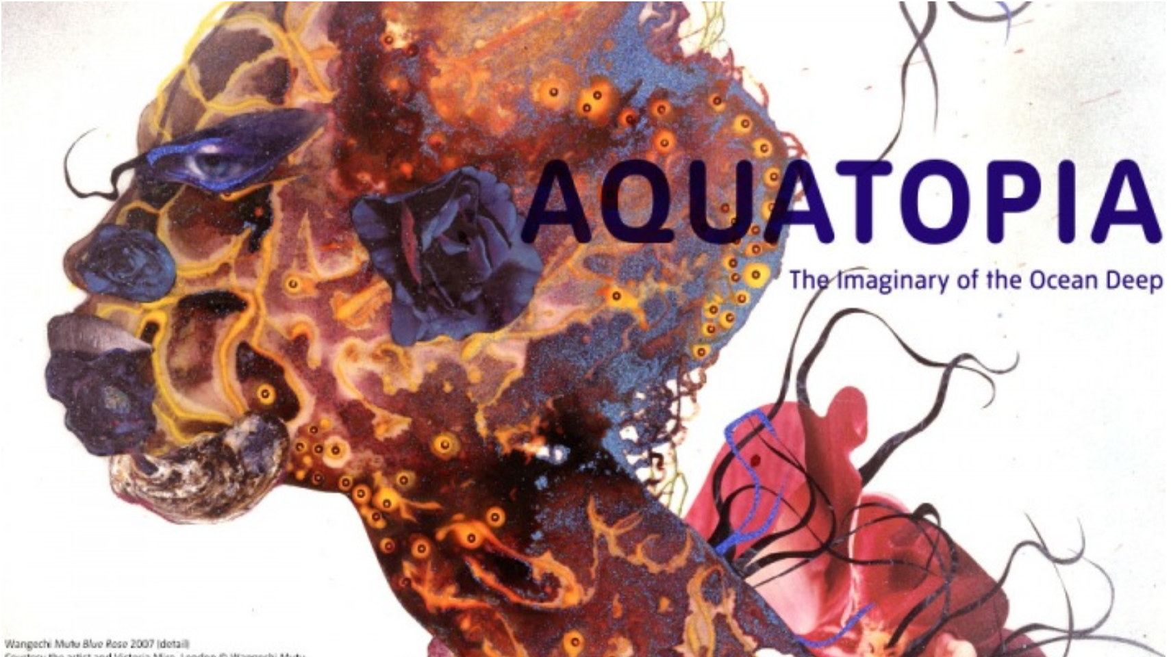 Exposition « Aquatopia »