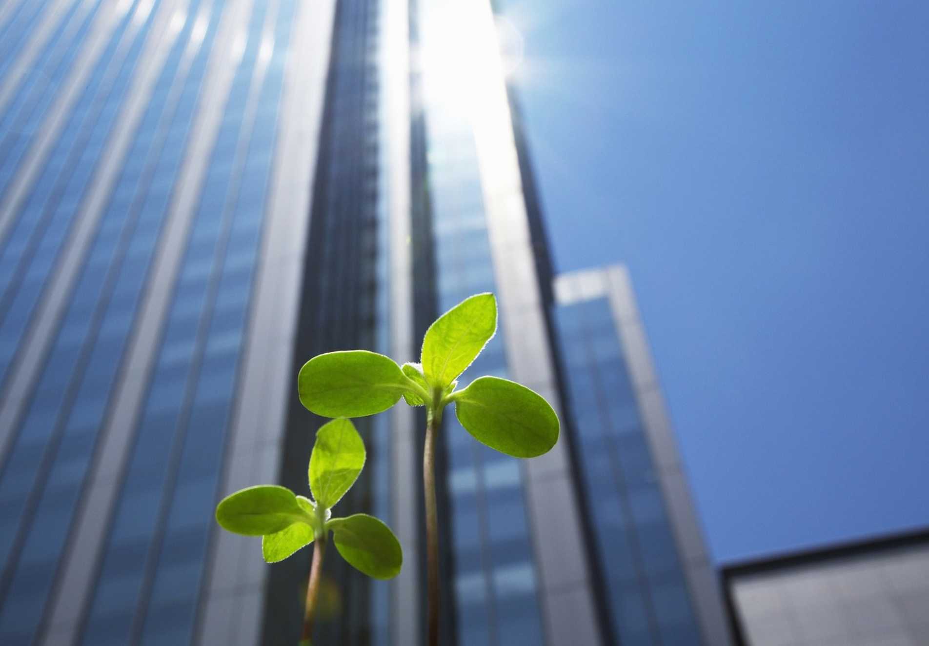 Séminaire : La culture, dimension oubliée du développement durable