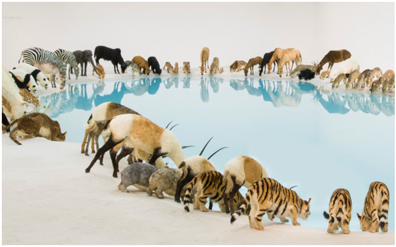 Exposition « Retomber sur Terre » de Cai Guo-Qiang au QAGOMA