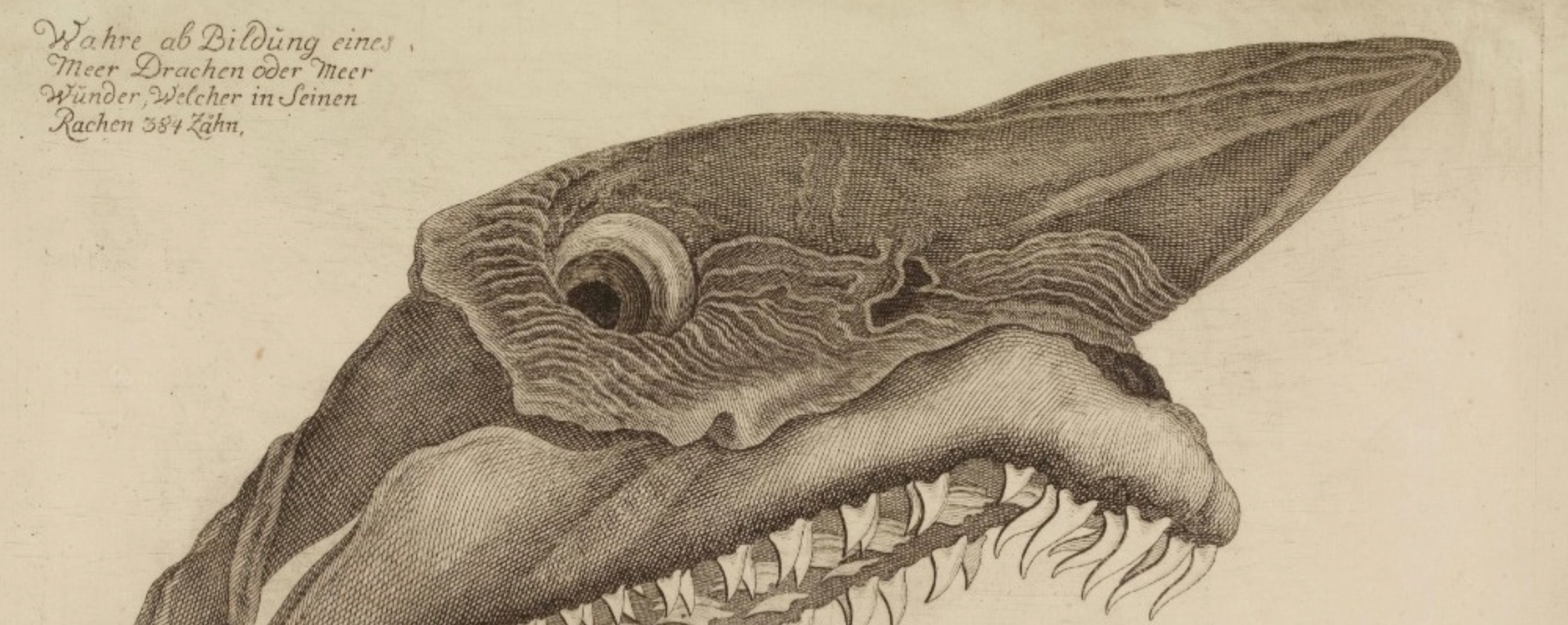 Exposition « Curious Beasts » au British Museum