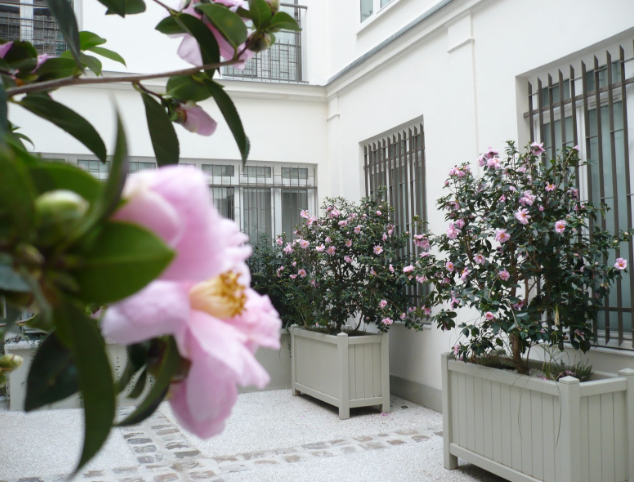 © Sharon Hobby - Garden Graphics Architectures