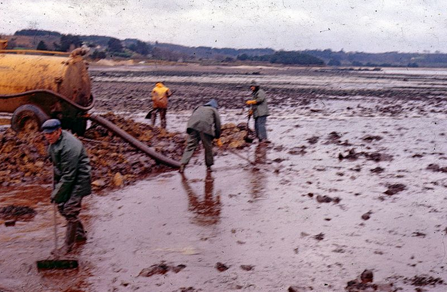 Regard N°54 2014, Année décisive pour le Droit de l’Environnement ?