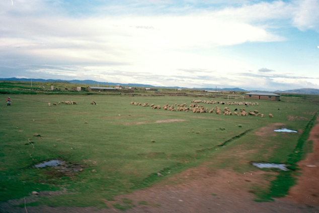 Paysage, usage du paysage, droit des terres… Portrait de Natsuko Uchino par Jeanne Granger