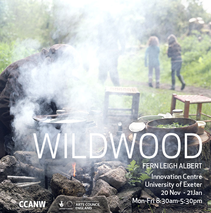 Exposition : Wildwood – Fern Leigh Albert