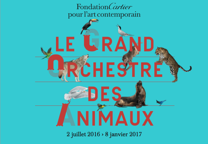 Exposition Le Grand Orchestre des Animaux à la Fondation Cartier pour l’art contemporain