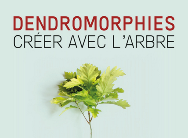 Exposition « Dendromorphies » de Paul Ardenne