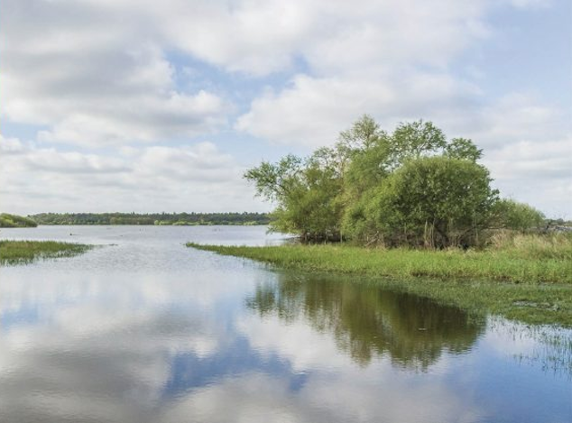 Biennale Nature et Paysage 2018