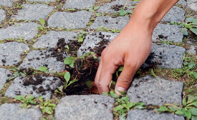 Exposition « Pétrichor, l’odeur des terres de Montreuil »