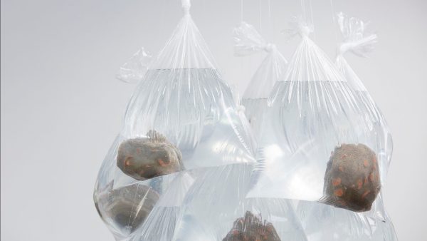 Chasseur de Tempêtes, une exposition à La Passerelle