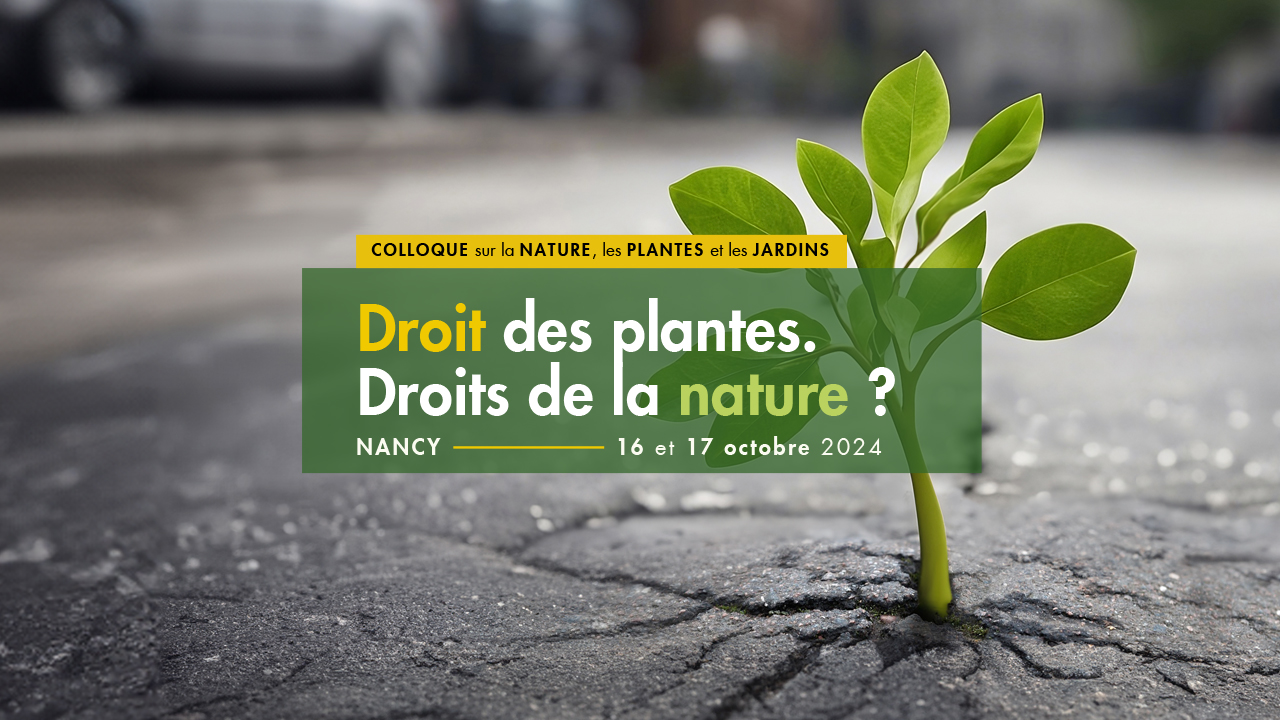 DROIT DES PLANTES. DROITS DE LA NATURE ?