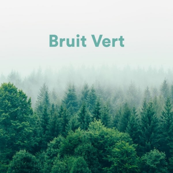 Bruit vert
