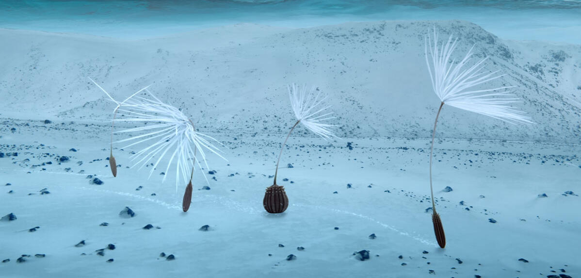 Planètes – Momoko Seto